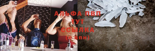 твердый Чекалин