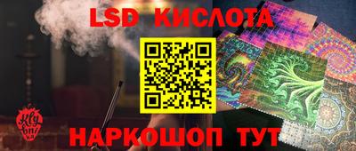 spice Кингисепп