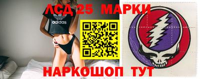 spice Кингисепп