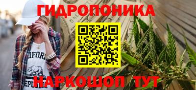 spice Кингисепп
