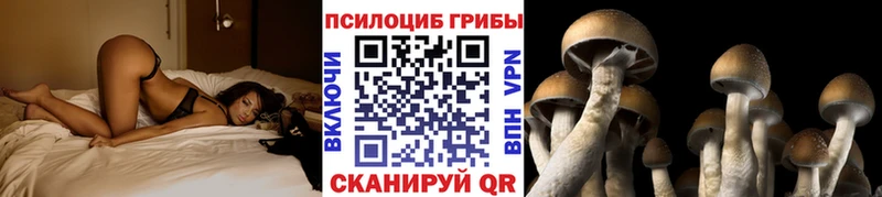 сколько стоит Иркутск Псилоцибиновые грибы мухоморы