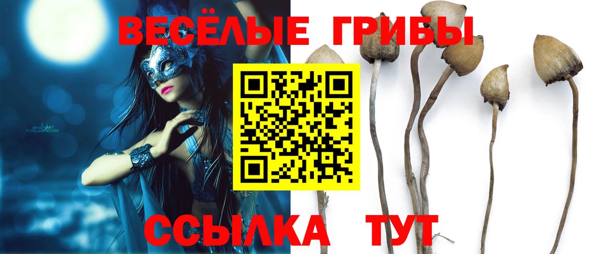 Галлюциногенные грибы мухоморы Иркутск