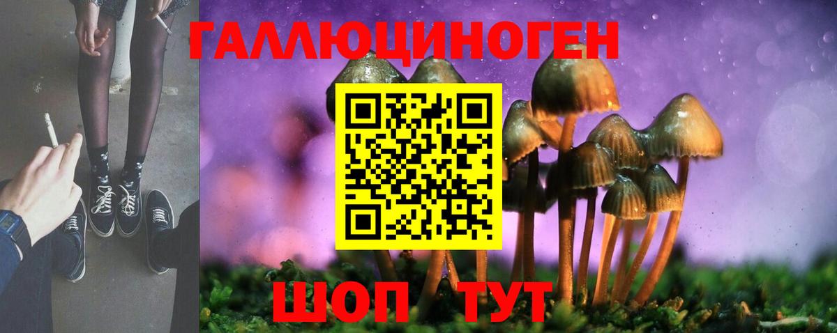 Иркутск  Галлюциногенные грибы мицелий  наркошоп  Вход с VPN 