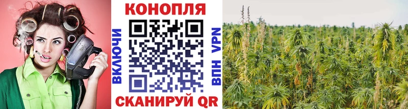 нарко площадка официальный сайт  Иркутск  Канабис конопля 